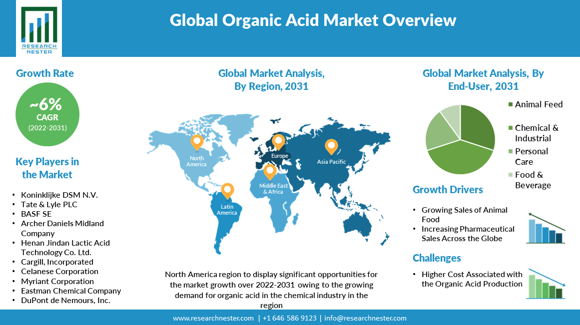 Organic Acid Market Overview